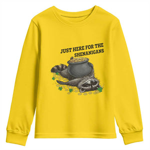 Funny Raccoon St Patricks Day Meme Youth Sweatshirt Just Here For The Shenanigans TS14 Daisy Print Your Wear