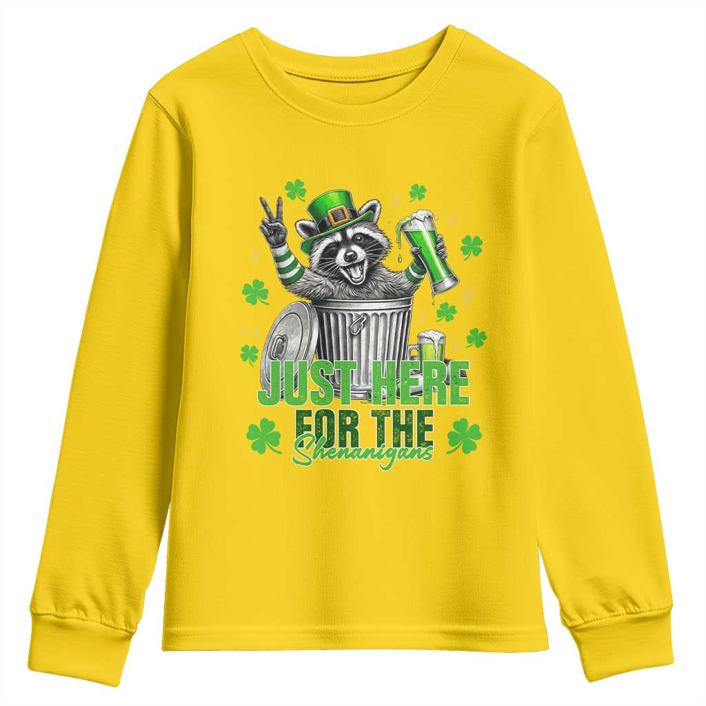Funny Raccoon Drinking Beer St Patricks Day Youth Sweatshirt Just Here For The Shenanigans TS14 Daisy Print Your Wear