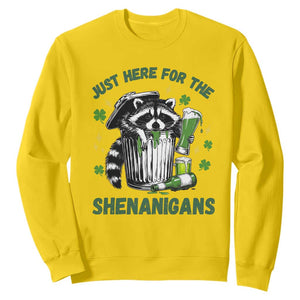 Funny Raccoon St Patricks Day Meme Sweatshirt - Trash Panda Just Here For The Shenanigans TS14 Daisy Print Your Wear