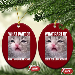 Funny Math Cat Lover Ceramic Ornament What Part Of Do Not You Understand TS14 Print Your Wear