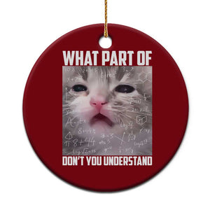 Funny Math Cat Lover Ceramic Ornament What Part Of Do Not You Understand TS14 1pc Red Print Your Wear