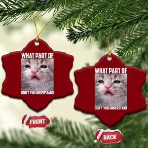 Funny Math Cat Lover Ceramic Ornament What Part Of Do Not You Understand TS14 Print Your Wear