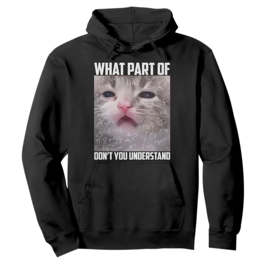 Funny Math Cat Lover Hoodie What Part Of Do Not You Understand TS14 Black Print Your Wear