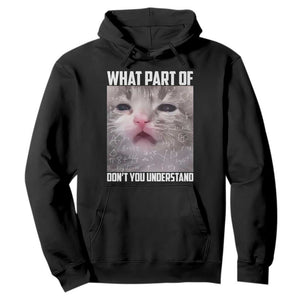 Funny Math Cat Lover Hoodie What Part Of Do Not You Understand TS14 Black Print Your Wear