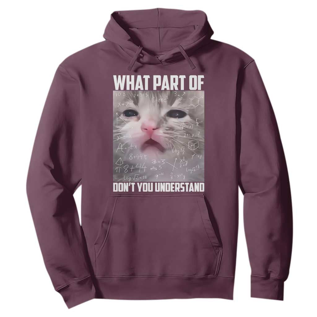 Funny Math Cat Lover Hoodie What Part Of Do Not You Understand TS14 Maroon Print Your Wear
