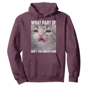 Funny Math Cat Lover Hoodie What Part Of Do Not You Understand TS14 Maroon Print Your Wear