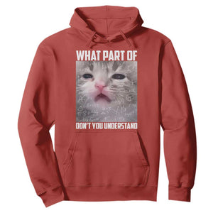 Funny Math Cat Lover Hoodie What Part Of Do Not You Understand TS14 Red Print Your Wear