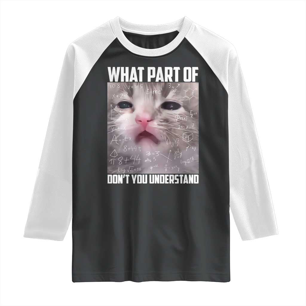 Funny Math Cat Lover Raglan Shirt What Part Of Do Not You Understand TS14 Black White Print Your Wear