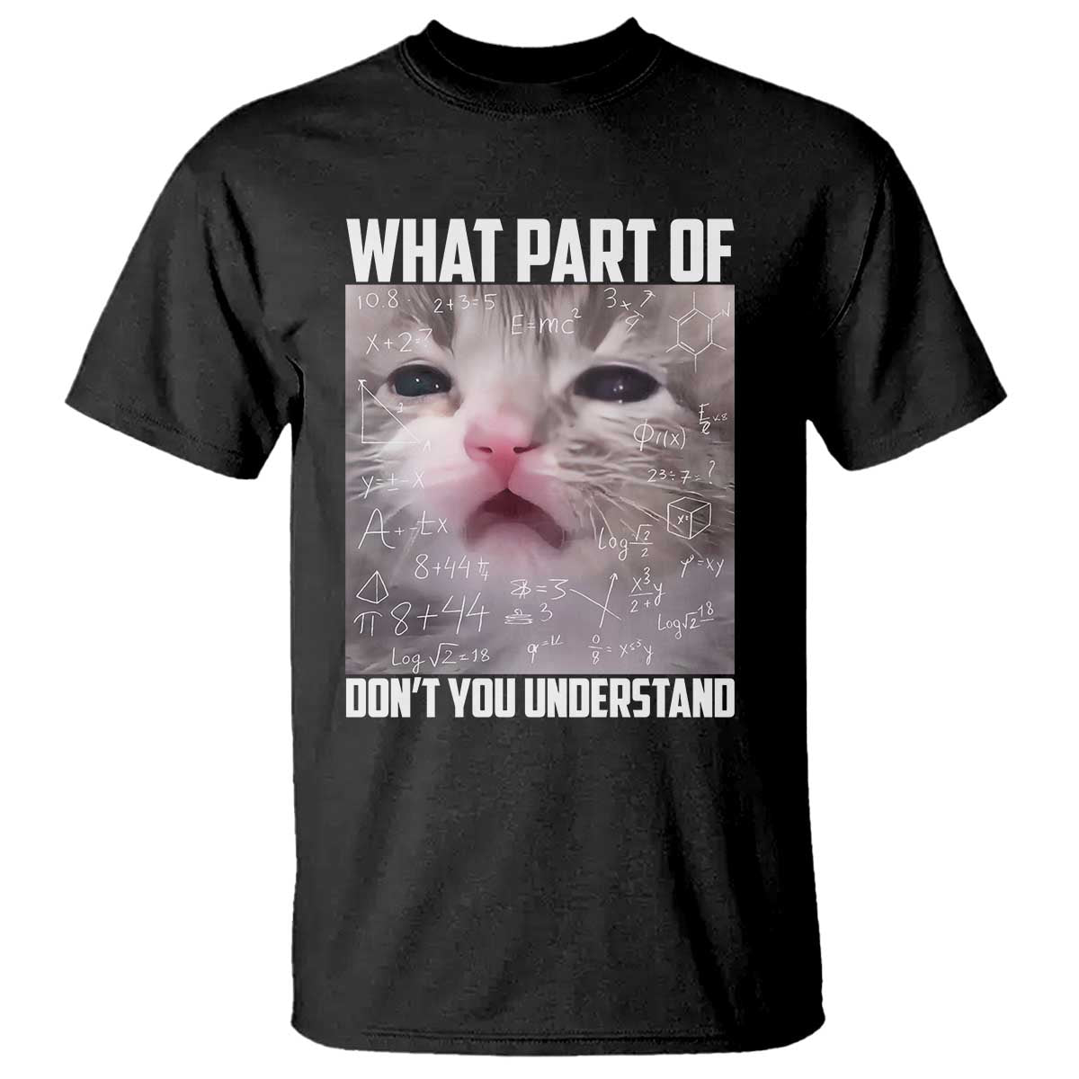 Funny Math Cat Lover T Shirt What Part Of Do Not You Understand TS14 Black Print Your Wear