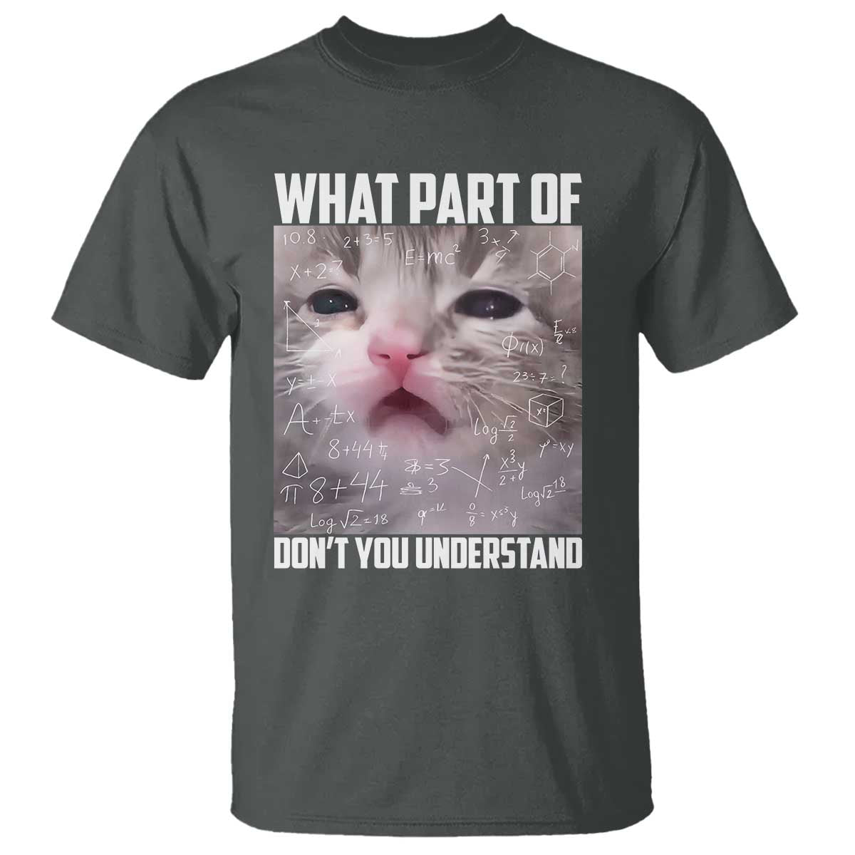 Funny Math Cat Lover T Shirt What Part Of Do Not You Understand TS14 Dark Heather Print Your Wear