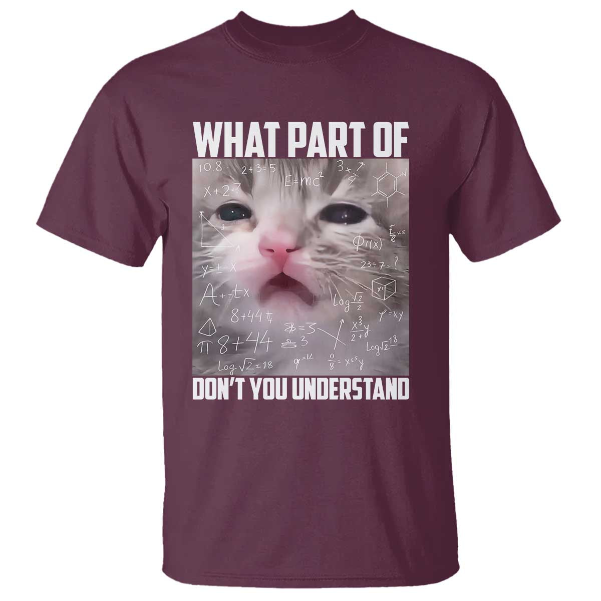Funny Math Cat Lover T Shirt What Part Of Do Not You Understand TS14 Maroon Print Your Wear