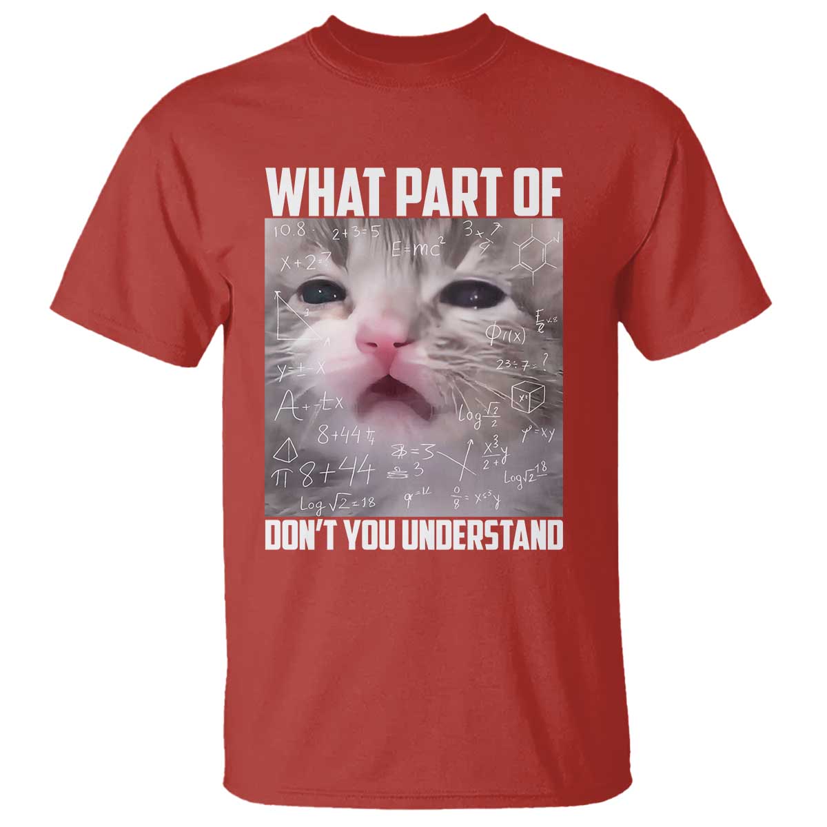 Funny Math Cat Lover T Shirt What Part Of Do Not You Understand TS14 Red Print Your Wear