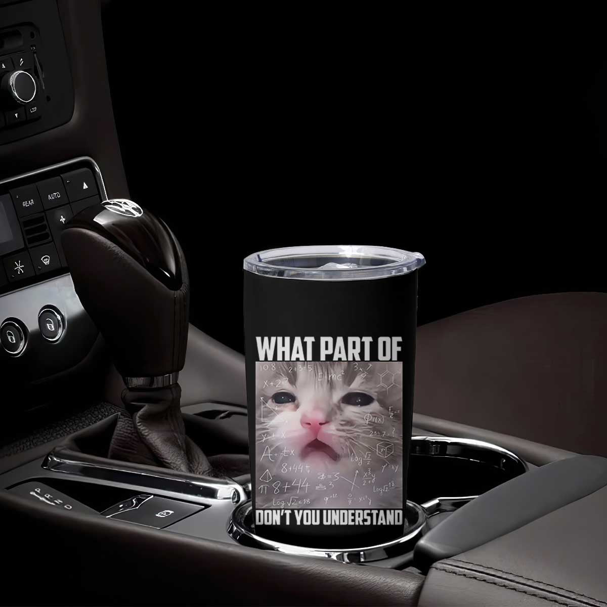 Funny Math Cat Lover Tumbler Cup What Part Of Do Not You Understand TS14 Print Your Wear