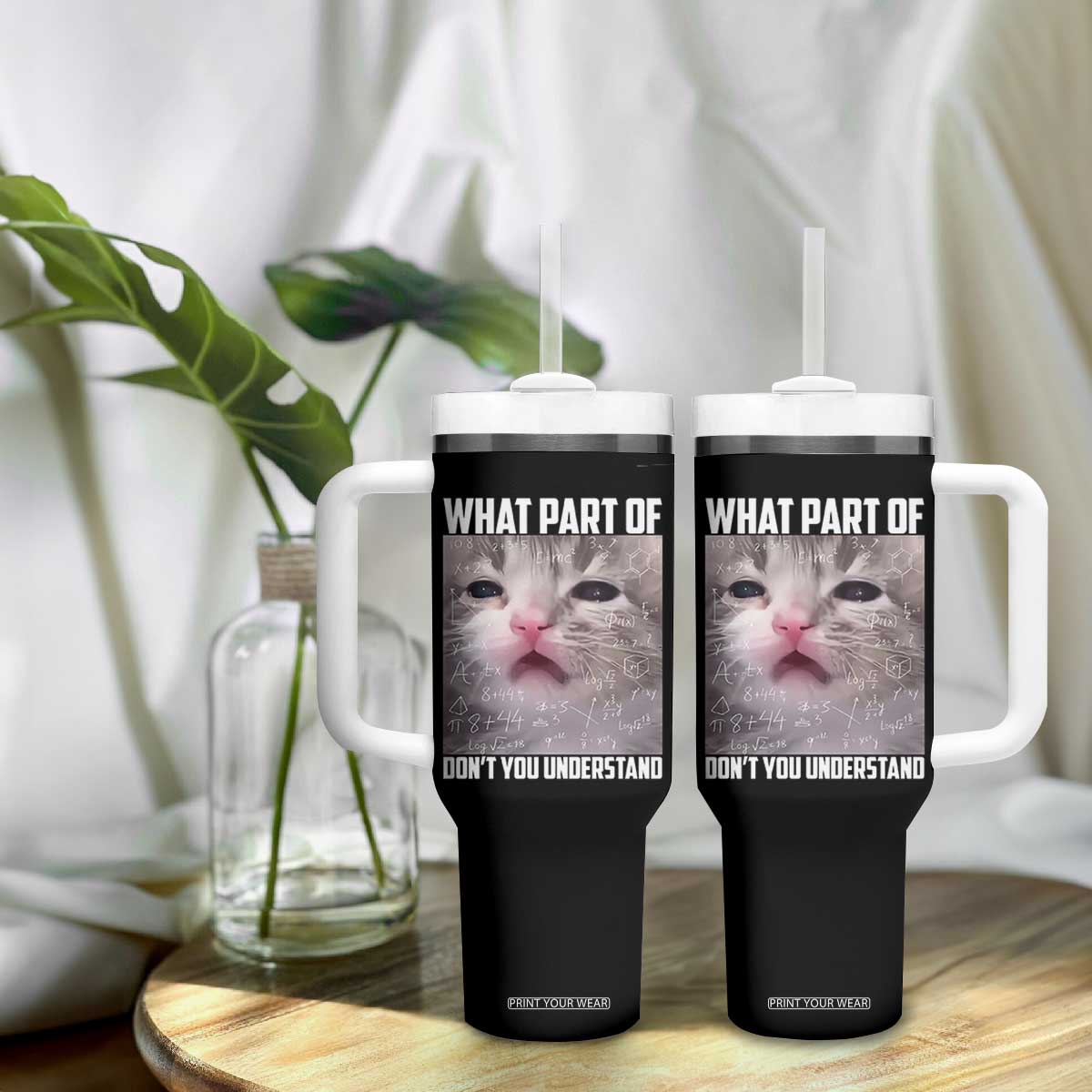 Funny Math Cat Lover Tumbler With Handle What Part Of Do Not You Understand TS14 Print Your Wear