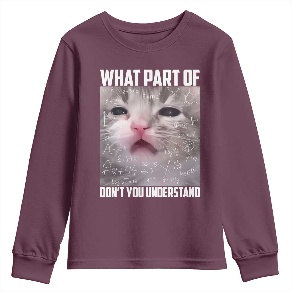 Funny Math Cat Lover Youth Sweatshirt What Part Of Do Not You Understand TS14 Maroon Print Your Wear