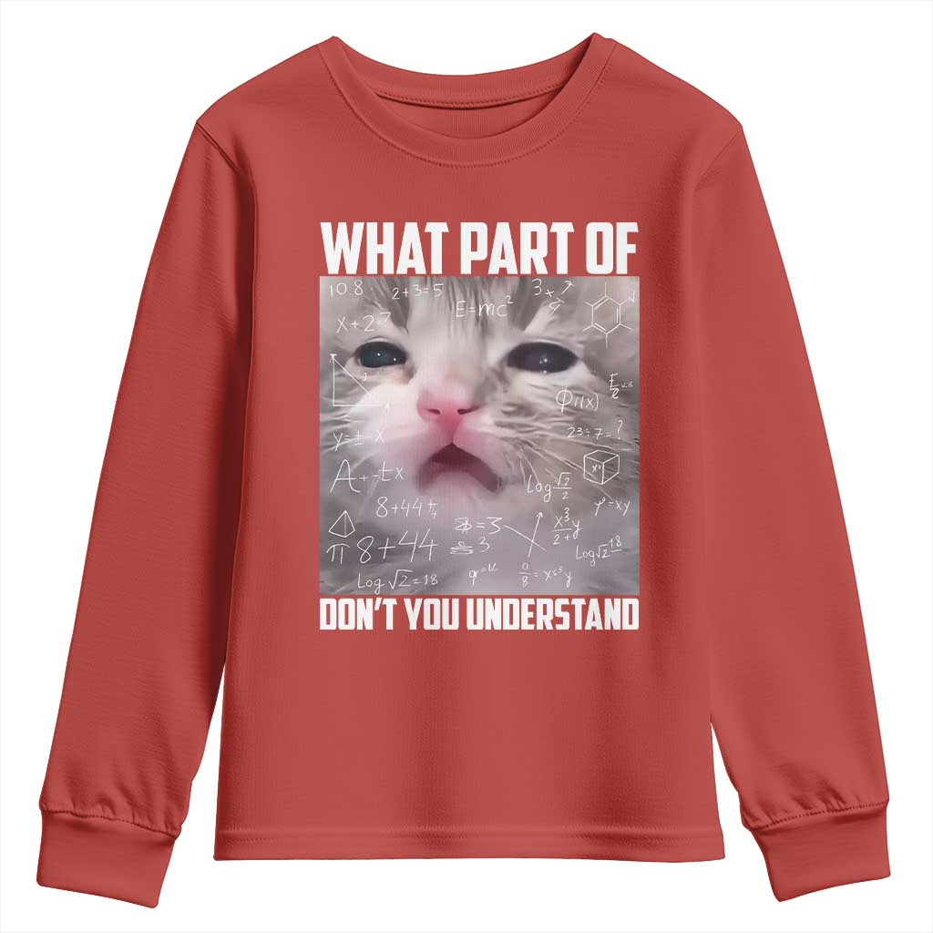 Funny Math Cat Lover Youth Sweatshirt What Part Of Do Not You Understand TS14 Red Print Your Wear