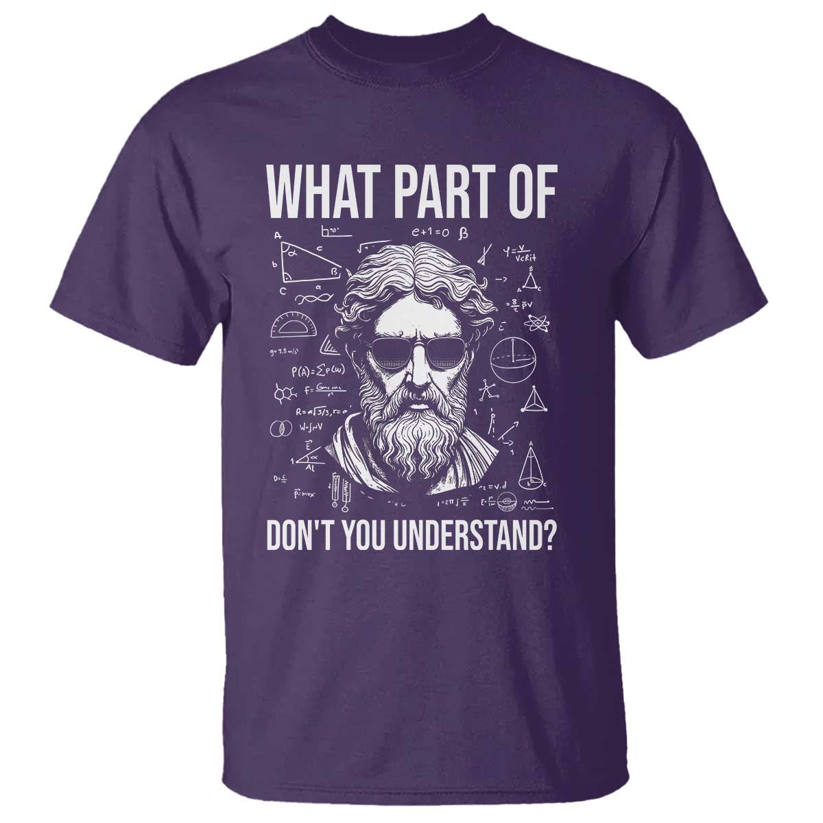 Funny Math Teacher T Shirt What Part Of Do Not You Understand TS14 Purple Print Your Wear
