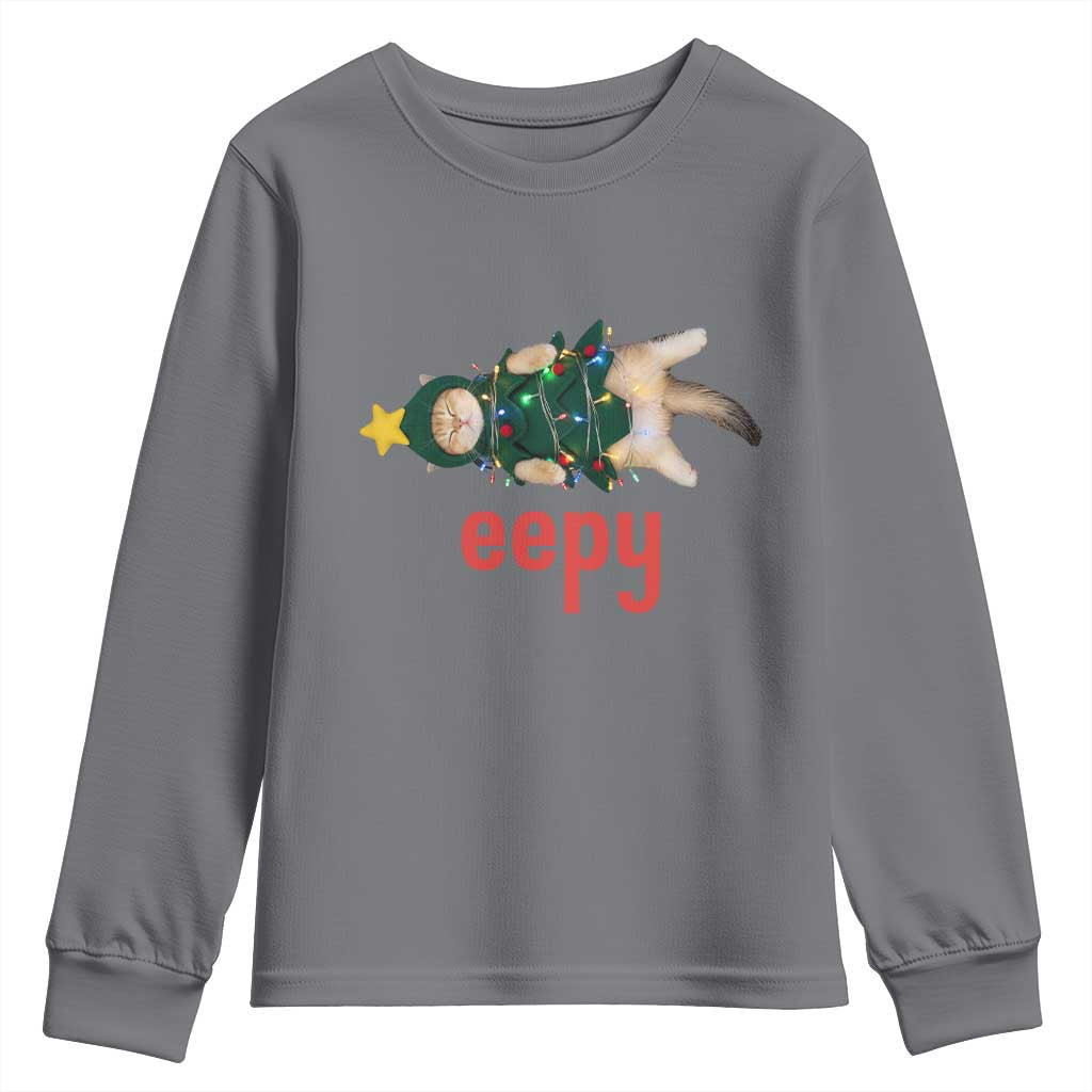Cat Christmas Meme Youth Sweatshirt Eepy Kitten Silly Sleepy TS14 Charcoal Print Your Wear