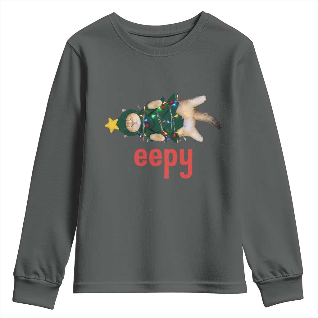 Cat Christmas Meme Youth Sweatshirt Eepy Kitten Silly Sleepy TS14 Dark Heather Print Your Wear