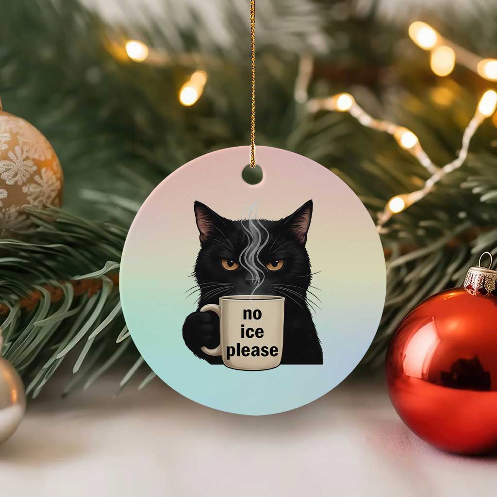 No Ice Please Ceramic Ornament Funny Black Cat Anti ICE Meme TS14 1pc Pastel Print Your Wear