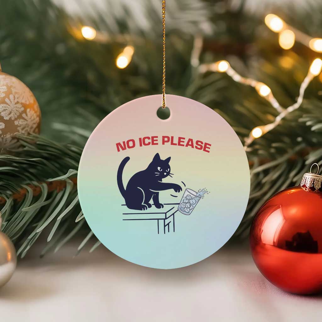 No Ice Please Ceramic Ornament Funny Cat Anti ICE Meme TS14 1pc Pastel Print Your Wear