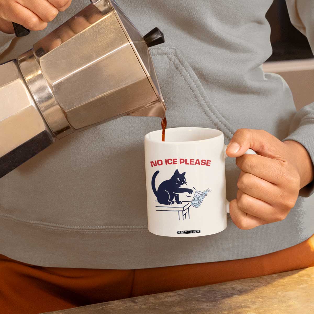 No Ice Please Coffee Mug Funny Cat Anti ICE Meme TS14 Print Your Wear