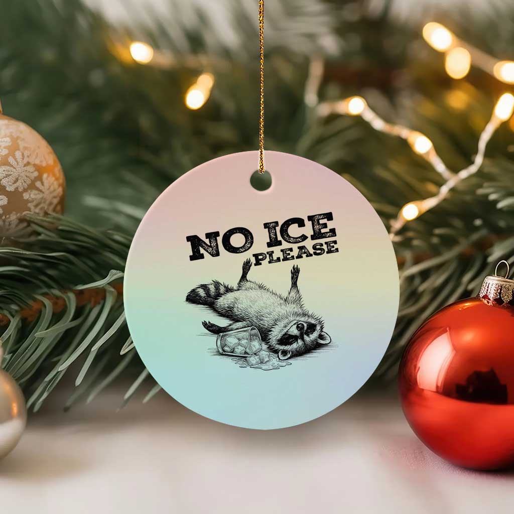 No Ice Please Ceramic Ornament Funny Raccoon Anti ICE Deportation Human Rights TS14 1pc Pastel Print Your Wear