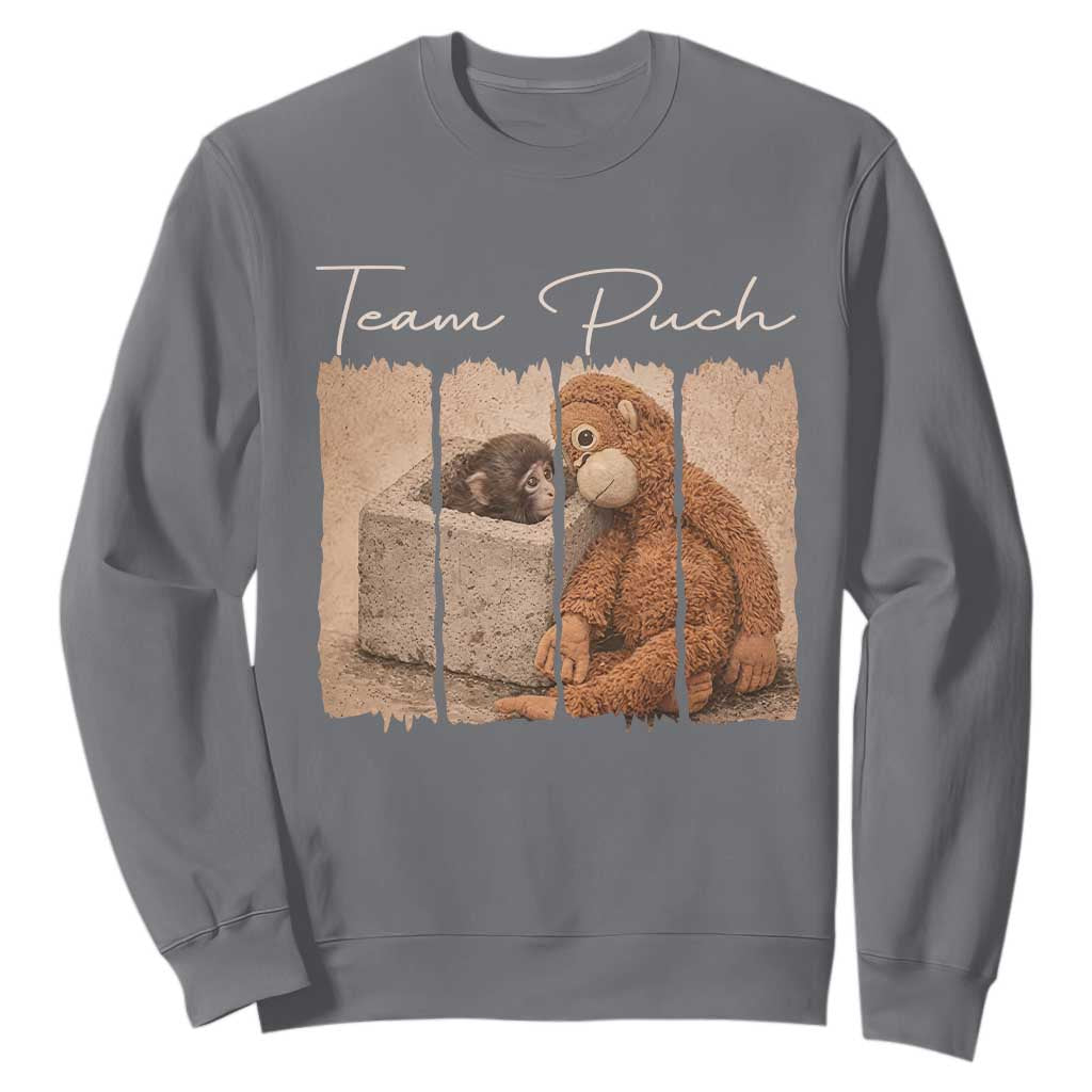 Team Punch Sweatshirt Baby Monkey And Plush Toy Viral TS14 Charcoal Print Your Wear