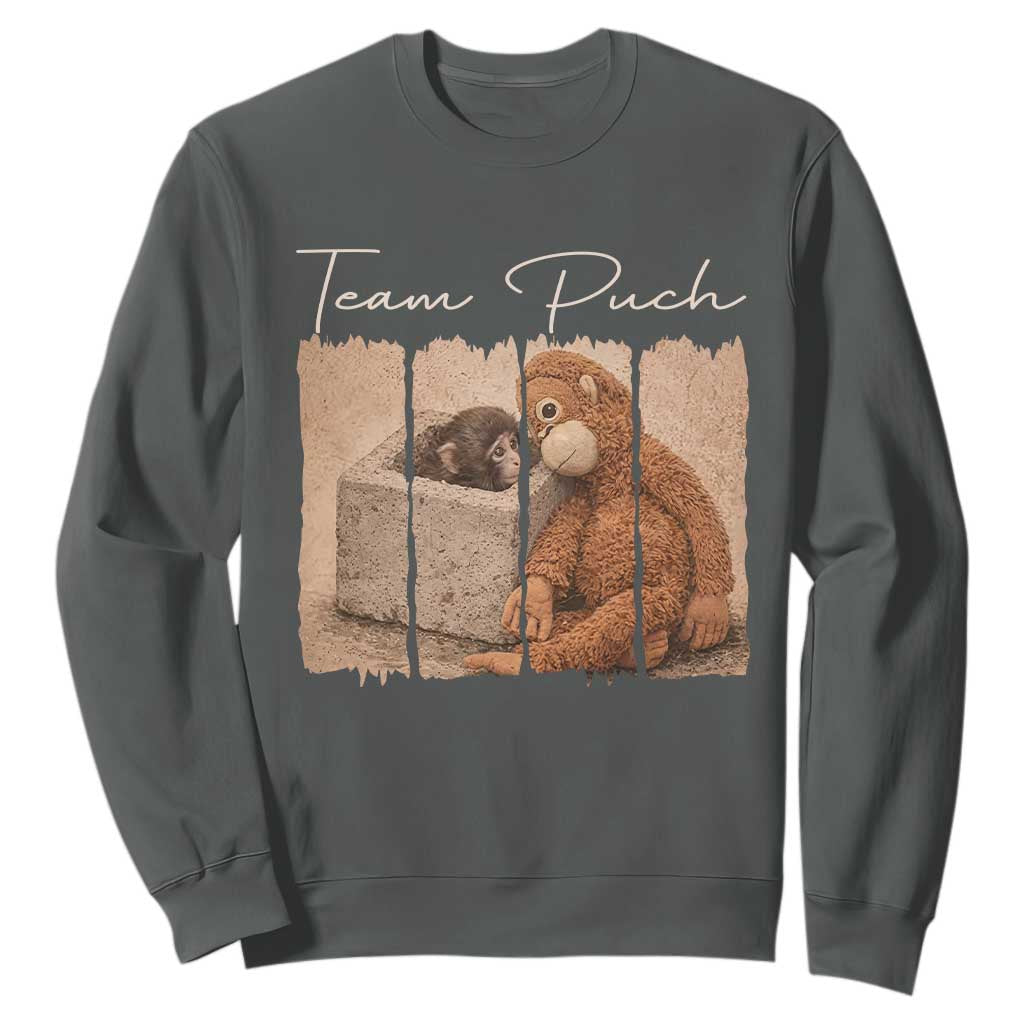 Team Punch Sweatshirt Baby Monkey And Plush Toy Viral TS14 Dark Heather Print Your Wear