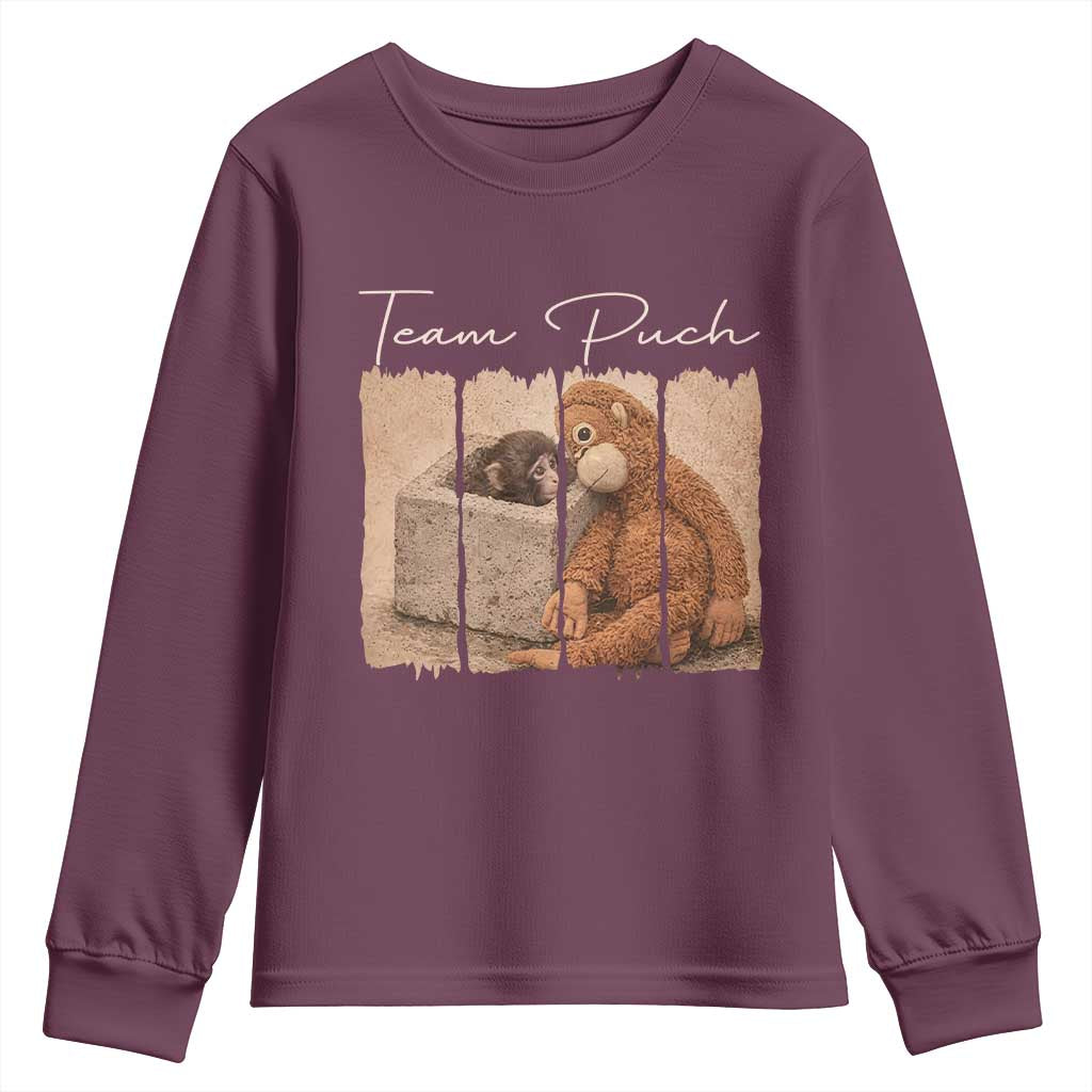 Team Punch Youth Sweatshirt Baby Monkey And Plush Toy Viral TS14 Maroon Print Your Wear