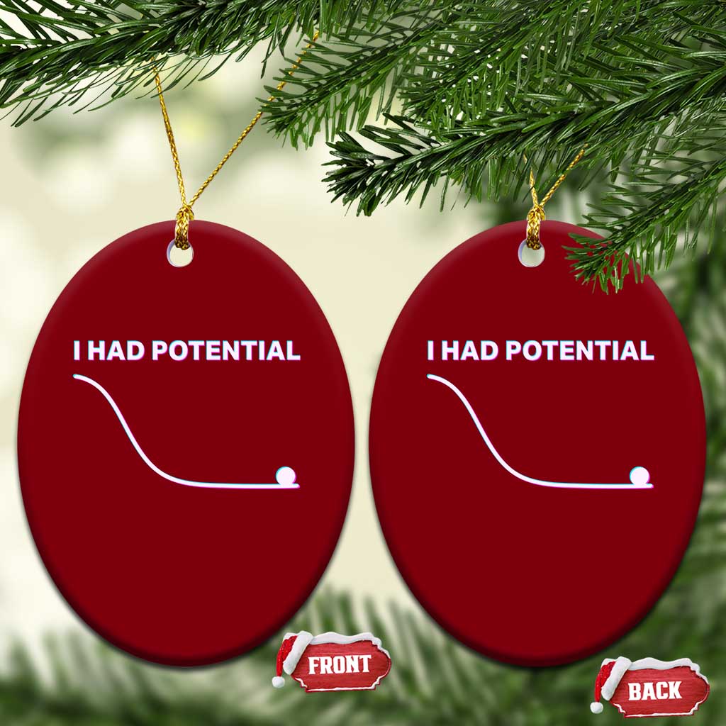 I Had Potential Ceramic Ornament Funny Physics Teacher Motivational Quote TS14 Print Your Wear
