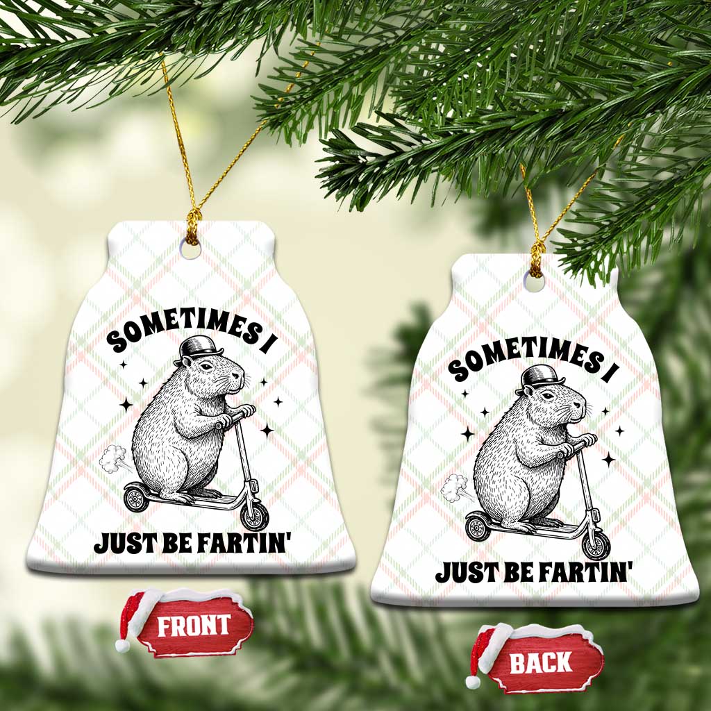 Funny Groundhog Scooter Ceramic Ornament Sometimes I Just Be Fartin TS14 Print Your Wear