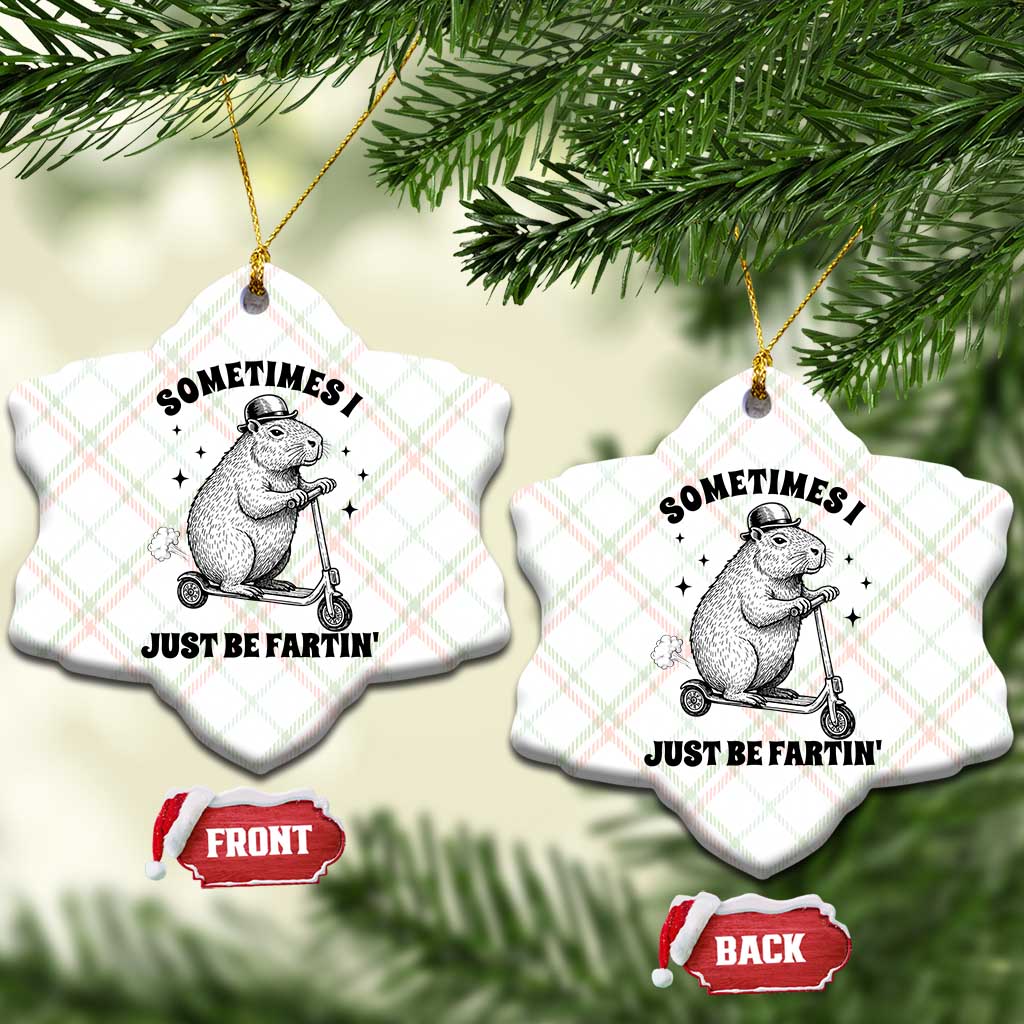 Funny Groundhog Scooter Ceramic Ornament Sometimes I Just Be Fartin TS14 Print Your Wear