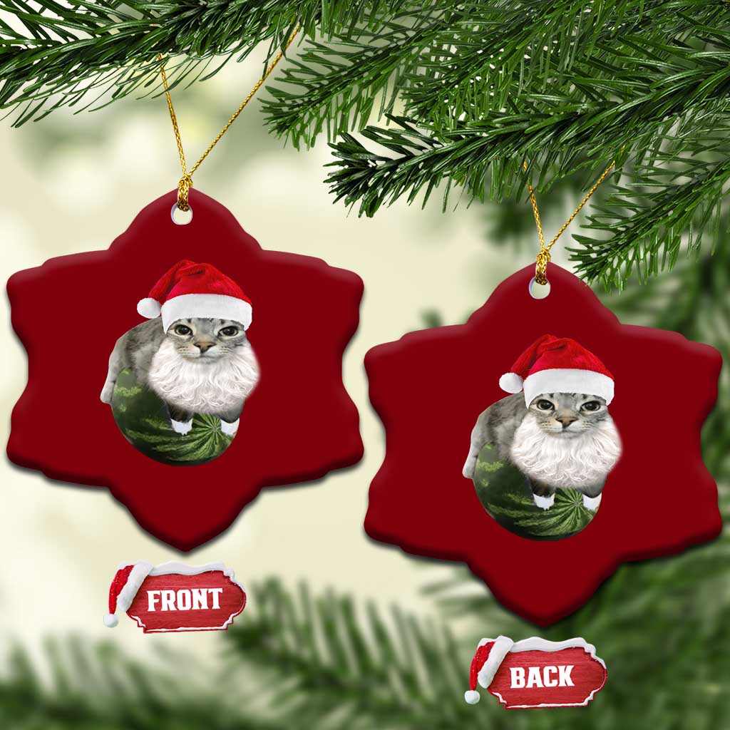 Watermelon Cat Xmas Ceramic Ornament Funny Silly Kitten Meme TS14 Print Your Wear
