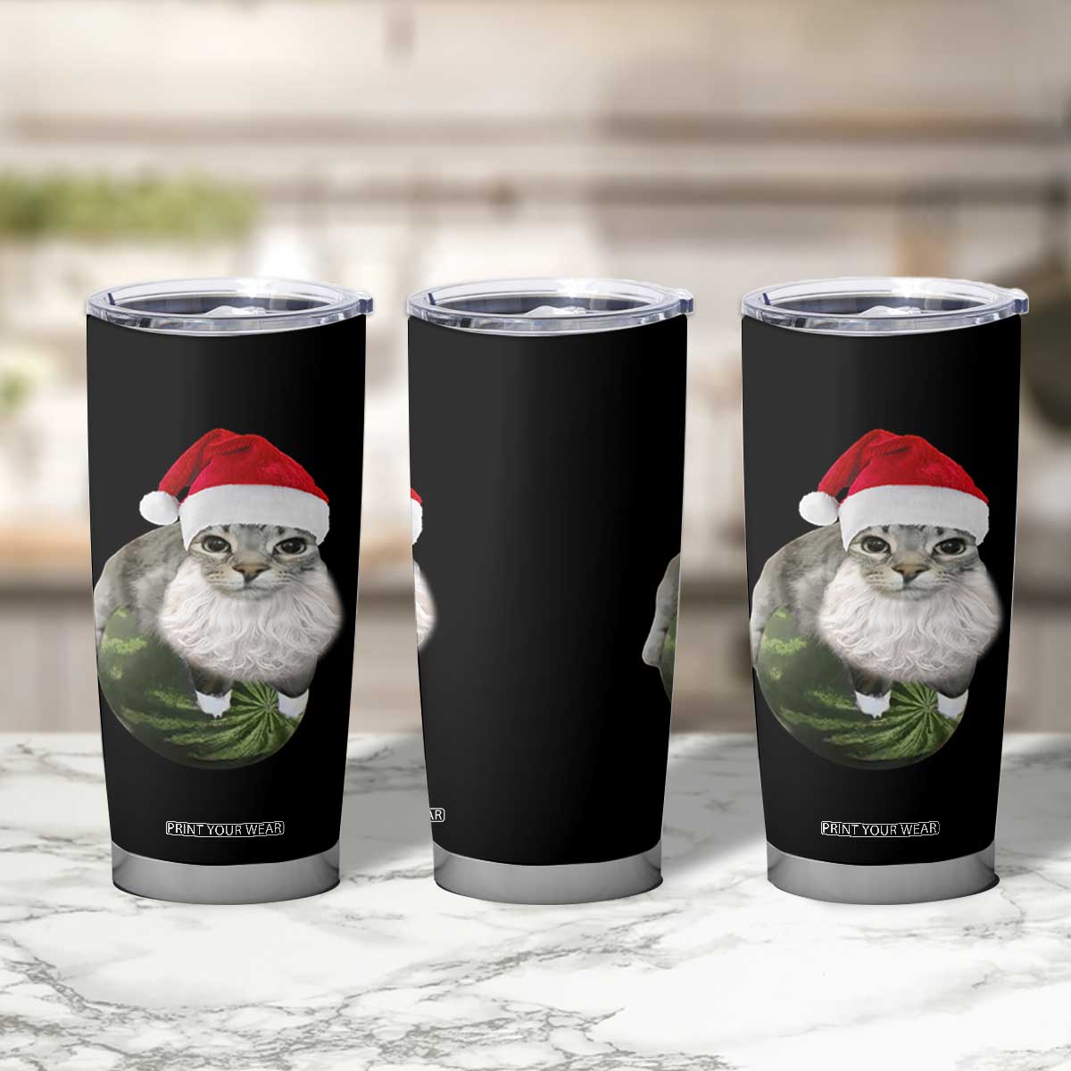 Watermelon Cat Christmas Tumbler Cup Funny Silly Kitten Meme TS14 Print Your Wear