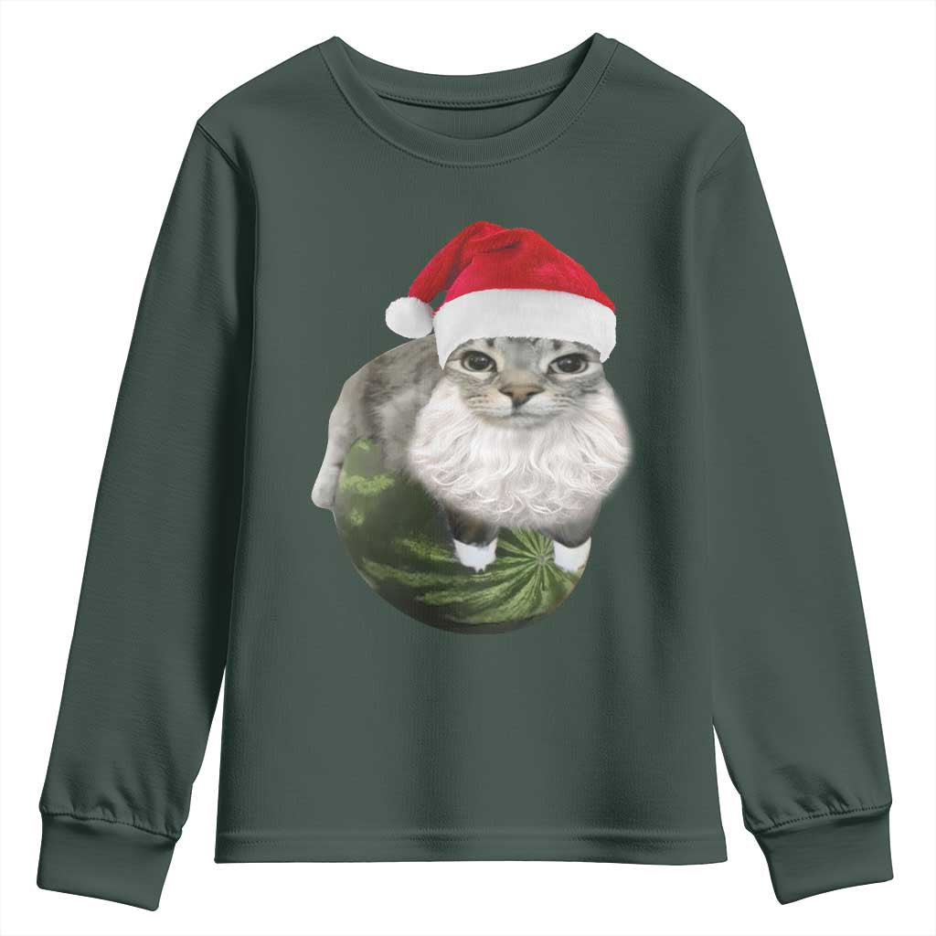 Watermelon Cat Christmas Youth Sweatshirt Funny Silly Kitten Meme TS14 Dark Forest Green Print Your Wear