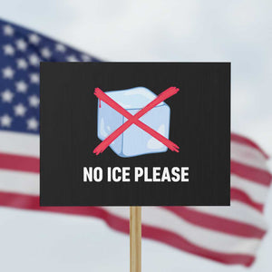 No Ice Please Protest Sign Ice Cube Anti ICE Deportation Human Rights Protest TS14 Horizontal 18" × 24" Black Print Your Wear