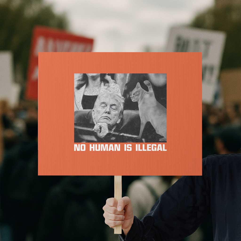 No Human Is Illegal Protest Sign Funny Cat Anti ICE Meme TS14 Horizontal 18