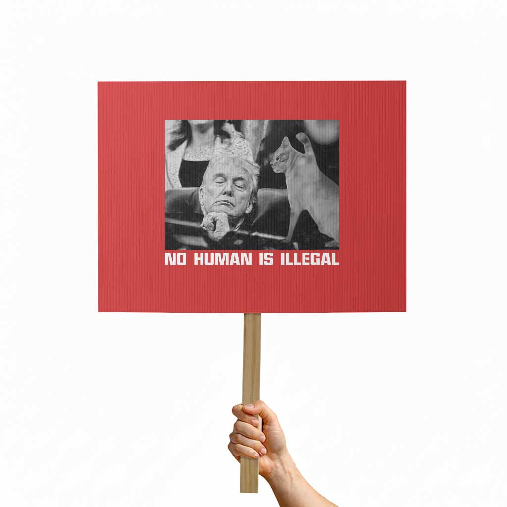 No Human Is Illegal Protest Sign Funny Cat Anti ICE Meme TS14 Horizontal 18