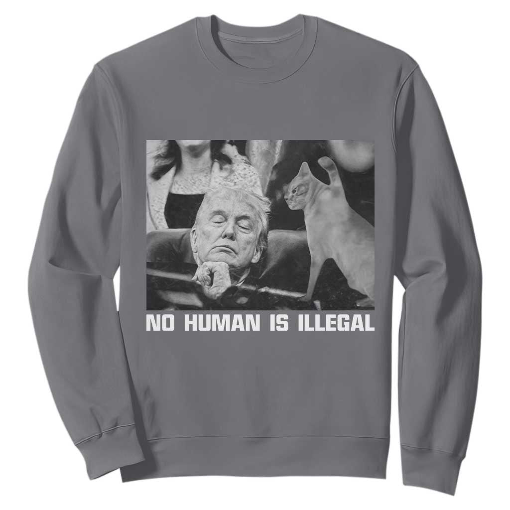 No Human Is Illegal Sweatshirt Funny Cat Anti ICE Meme TS14 Charcoal Print Your Wear