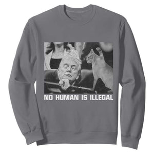 No Human Is Illegal Sweatshirt Funny Cat Anti ICE Meme TS14 Charcoal Print Your Wear
