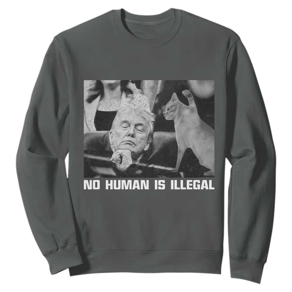 No Human Is Illegal Sweatshirt Funny Cat Anti ICE Meme TS14 Dark Heather Print Your Wear
