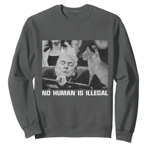 No Human Is Illegal Sweatshirt Funny Cat Anti ICE Meme TS14 Dark Heather Print Your Wear