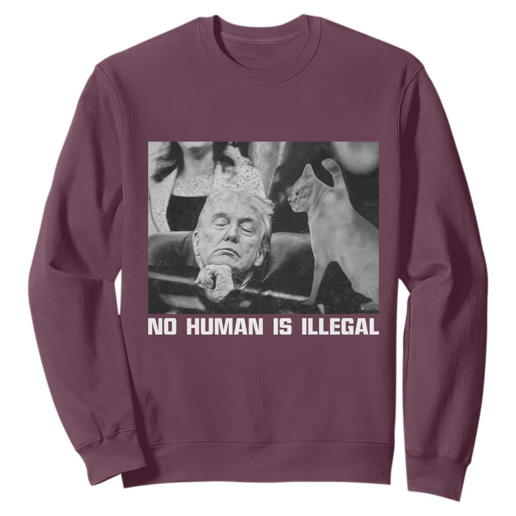 No Human Is Illegal Sweatshirt Funny Cat Anti ICE Meme TS14 Maroon Print Your Wear