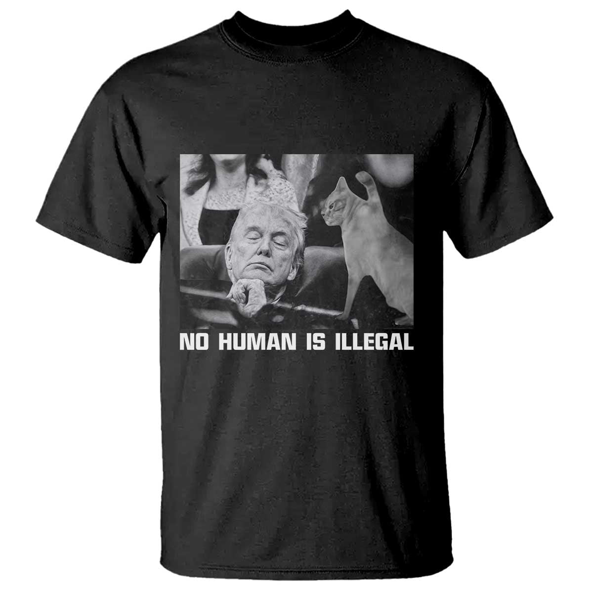No Human Is Illegal T Shirt Funny Cat Anti ICE Meme TS14 Black Print Your Wear