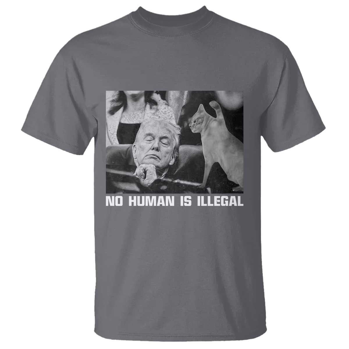 No Human Is Illegal T Shirt Funny Cat Anti ICE Meme TS14 Charcoal Print Your Wear