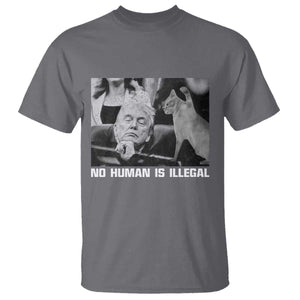 No Human Is Illegal T Shirt Funny Cat Anti ICE Meme TS14 Charcoal Print Your Wear