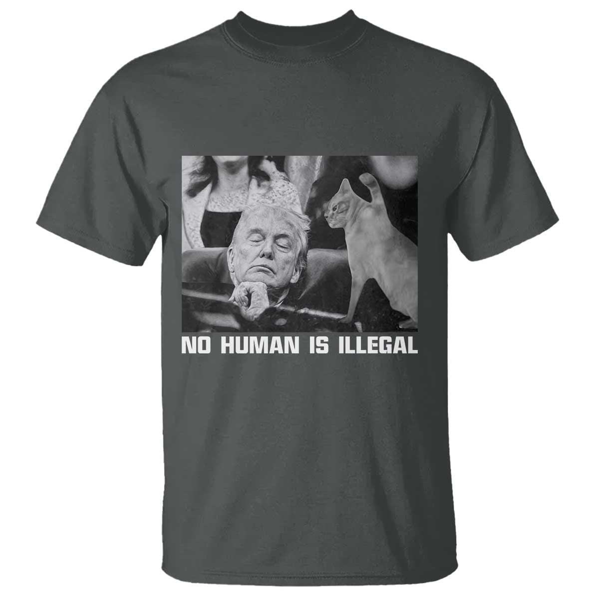 No Human Is Illegal T Shirt Funny Cat Anti ICE Meme TS14 Dark Heather Print Your Wear
