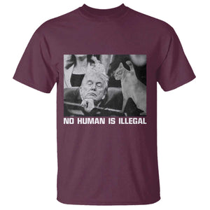 No Human Is Illegal T Shirt Funny Cat Anti ICE Meme TS14 Maroon Print Your Wear