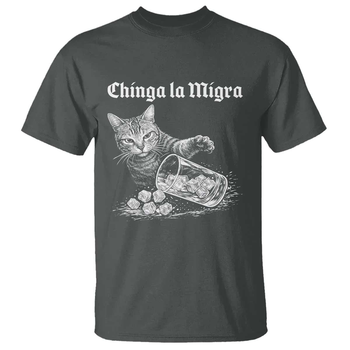 Funny Cat Anti ICE Meme T Shirt TS14 Dark Heather Print Your Wear